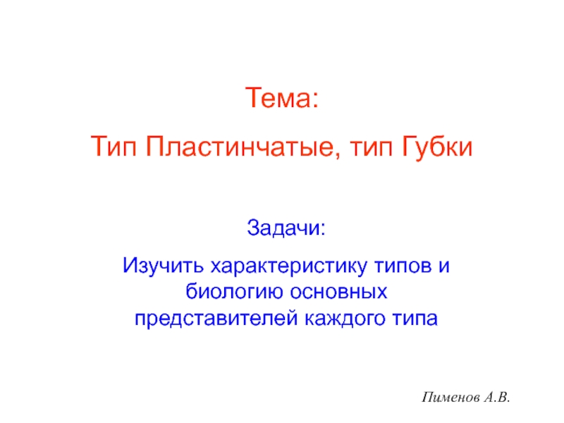 Тип Пластинчатые, тип Губки