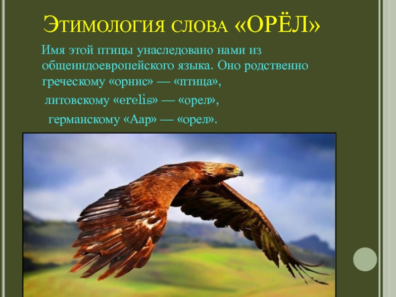 Сколько слов в слове орел. Орел презентация. Текст про орла. Красивые слова про орла. Имя для орла.