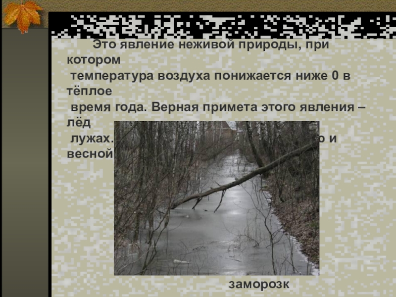 Месяц с явлением неживой природы. Наблюдение в неживой природе за лужей. Стих верная примета.