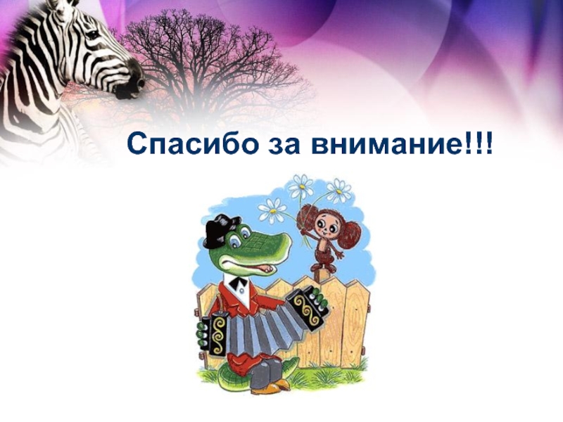 Спасибо за внимание география. Спасибо за внимание Африка. Спасибо за внимание для презентации Австралия. Спасибо за внимание Южная Америка.