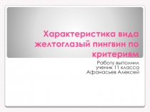 Характеристика вида желтоглазый пингвин по критериям 11 класс