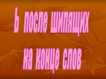 Ь после шипящих
на конце слов