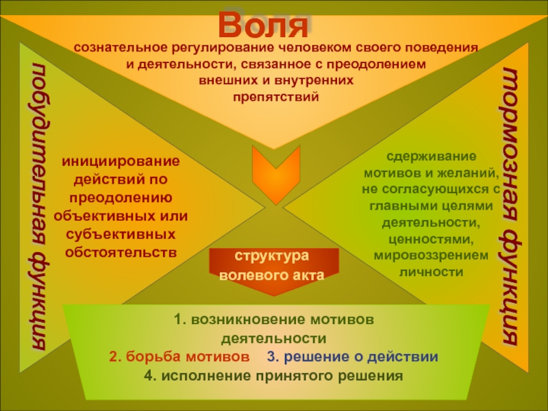 1 воля. Воля как сознательное регулирование поведения и деятельности.. Воля как сознательная регуляция. Сознательное регулирование человеком своего поведения деятельности. Воля как процесс сознательного регулирования поведения человека.