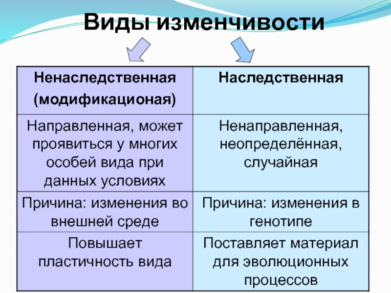 Модификационная изменчивость схема