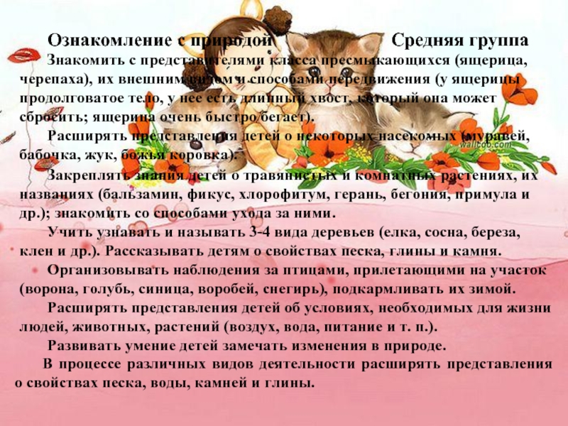 Ознакомление с природой в средней группе. Ознакомление с природой в средней группе на тему 