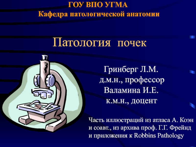 Презентация ГОУ ВПО УГМА Кафедра патологической анатомии Патология почек