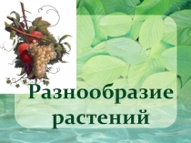 Презентация к уроку окружающего мира по теме 