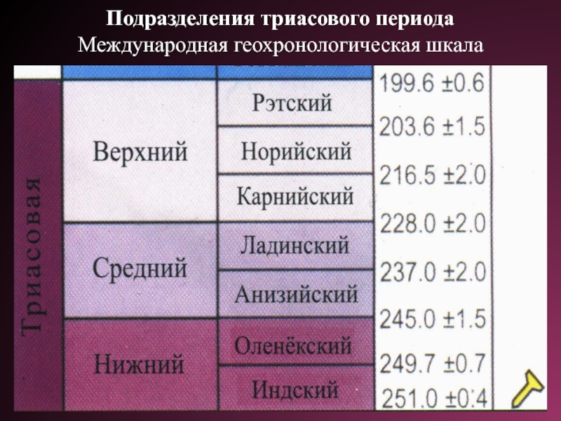 Геологические эры складчатости. Отделы Триасового периода. Триасовый период геологические события. Геохронологическая шкала Триас. Ярусы Триасового периода.