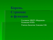 Корень. Строение и функции 5 класс