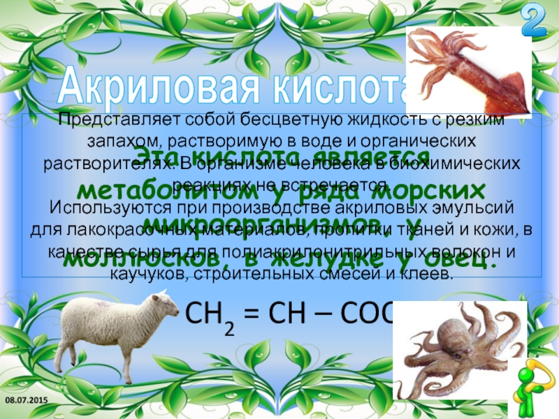 Акриловая кислотаCH2 = CH – COOH Эта кислота является метаболитом у ряда морских микроорганизмов, у моллюсков, в
