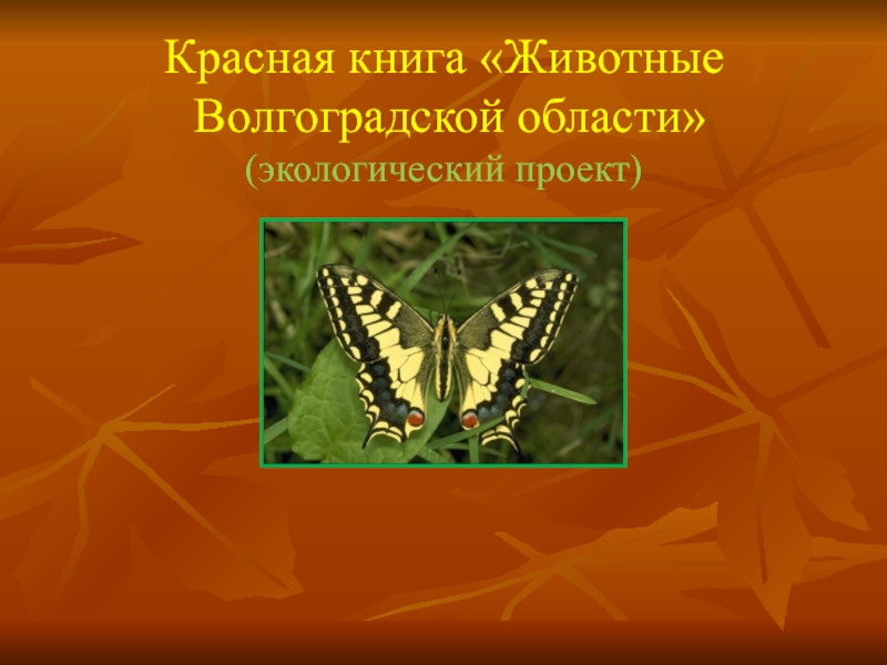 Красная книга Животные Волгоградской области