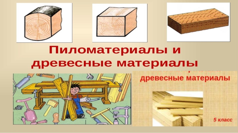 Презентация Пиломатериалы и древесные материалы
