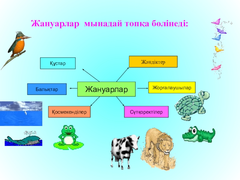 Жануарлардың көптүрлілігі 5 сынып презентация