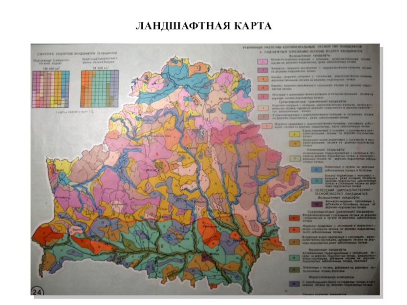 Карта с ландшафтом местности