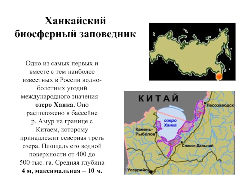 Ханкайский заповедник презентация