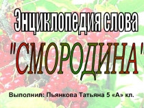 Энциклопедия слова   "СМОРОДИНА"