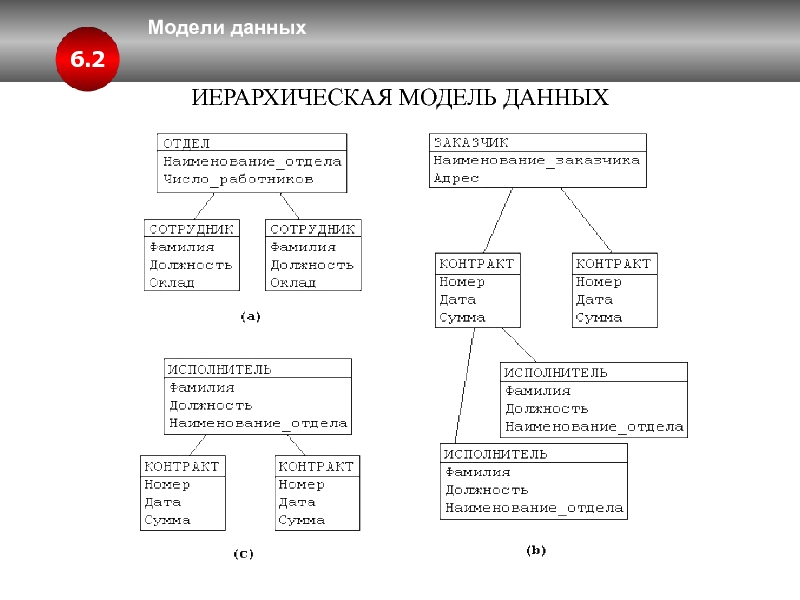 Иерархическая модель данных презентация