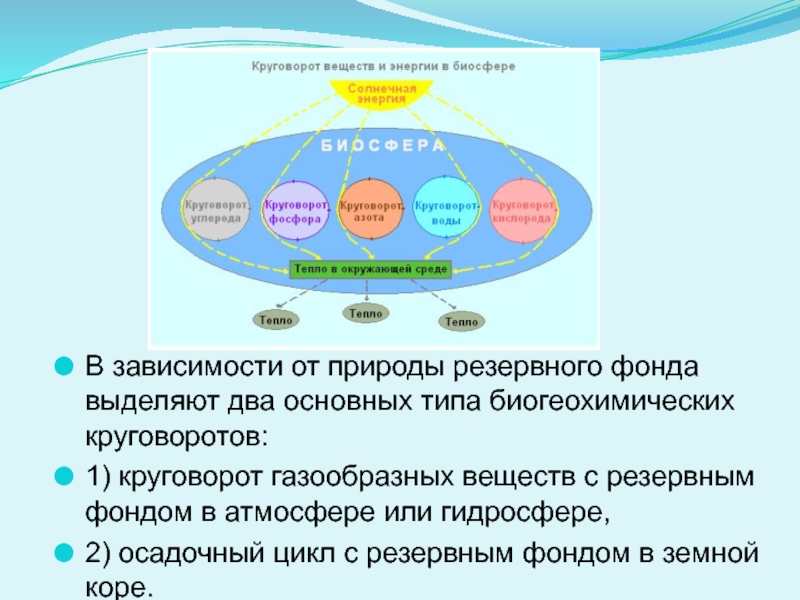 С Какими Круговоротами Вы Познакомились