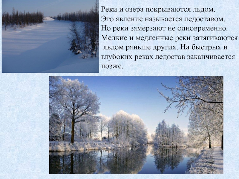 Когда начинается зима. Речка покрылась льдом. Реки и озера покрываются льдом. Ледостав это явление природы. Река зимой не замерзает.