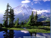 Шевякова Алёна Дмитриевна