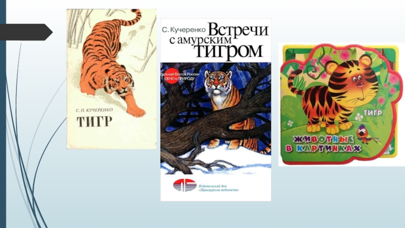 Есть слово тигр. Схема слова тигр. Слова со смыслом тигр. Энциклопедии презентация. Тигр анализ слова.