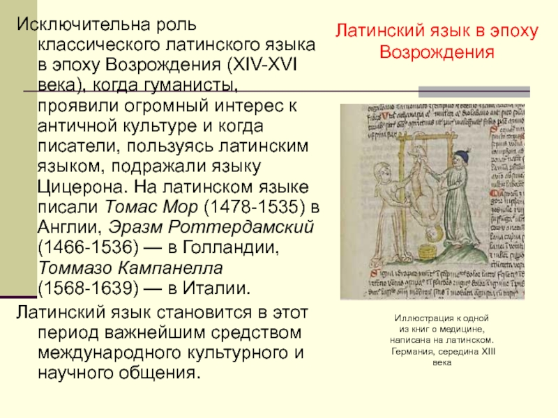 Гуманисты возрождения считали образцом классическую латинскую и греческую древность