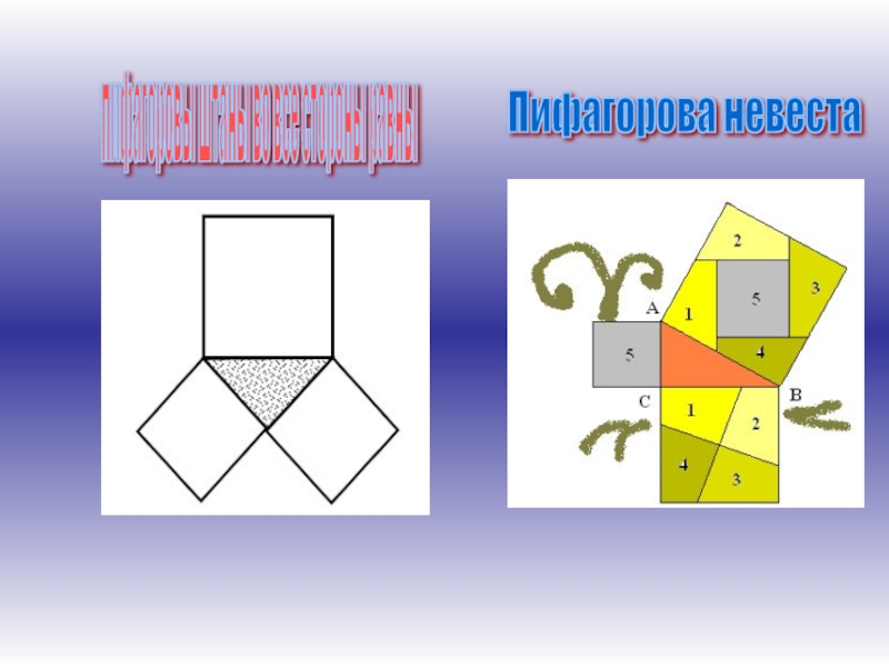 Картинка пифагоровы штаны во все стороны равны