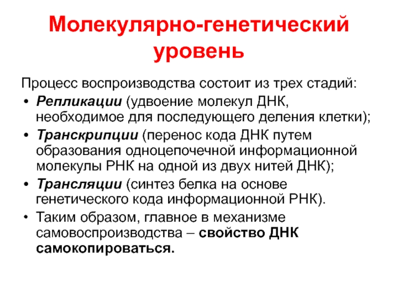 Молекулярно генетический. Молекулярно-генетический уровень. Молекулярно-генетический уровень организации жизни. Процессы на молекулярно генетическом уровне. Генетический уровень организации.