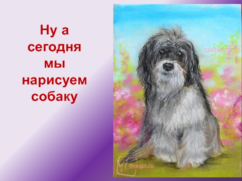 Нарисовать собаку мелками