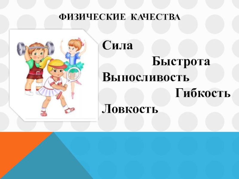 Быстрота гибкость выносливость. Физические качества ребенка. Сила быстрота выносливость. Сила гибкость выносливость. Сила выносливость ловкость гибкость быстрота это.