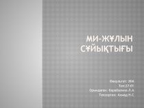 Ми - жұлын сұйықтығы