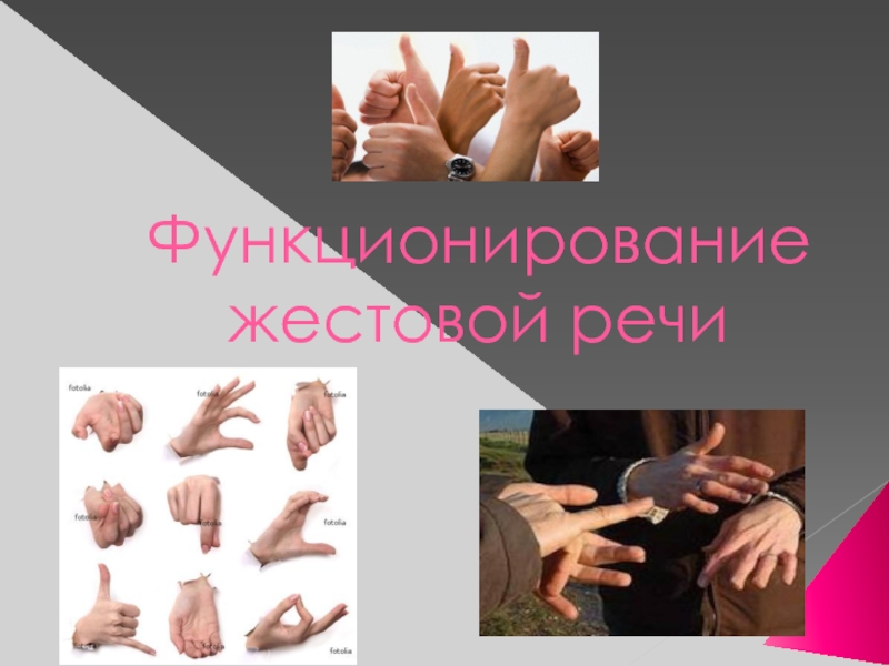 Презентация Функционирование жестовой речи