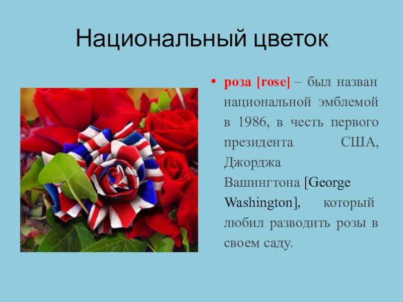 Какой национальный цветок. Роза символ США. Цветок-символ США - роза. Национальный цветок США на английском языке. Цветочный символ США.