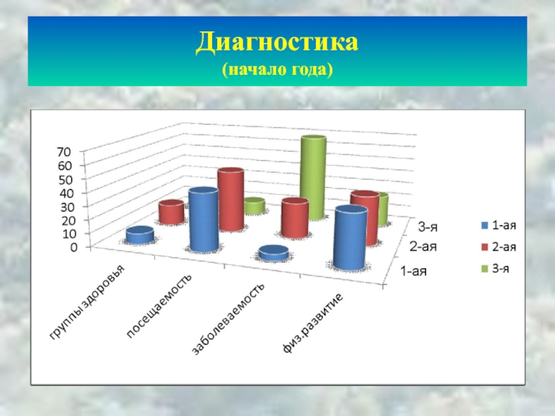 Диагностика начало года