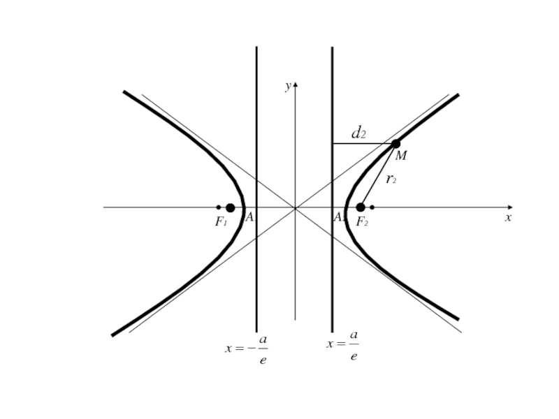Какие гиперболы. Растяжение гиперболы.