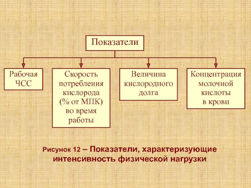 Лекция 5К Рисунок 12 – Показатели, характеризующие интенсивность физической нагрузки Рисунок 12 – Показатели, характеризующие интенсивность физической нагрузки