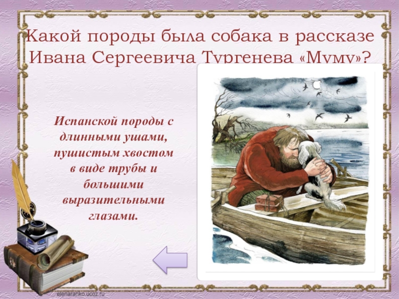 Рассказ собака муму. Муму. Тургенев и.с. "Муму". Какой породы была собака Муму. Какой породы была Муму в рассказе.