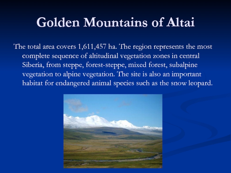 Golden Mountains of AltaiThe total area covers 1,611,457 ha. The region represents the most complete sequence of
