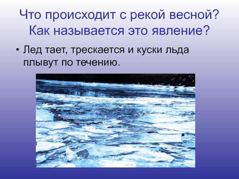 Случилось это весной на таймыре основная мысль. Тает лед. Что происходит с рекой весной. Лед тает как называется. Тает лед явление.