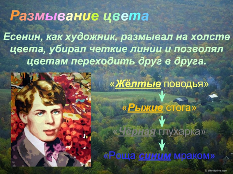 Лексика есенин. Цвет в поэзии Есенина. Цвета в лирике Есенина. Цвета в стихах Есенина. Стихи Есенина.