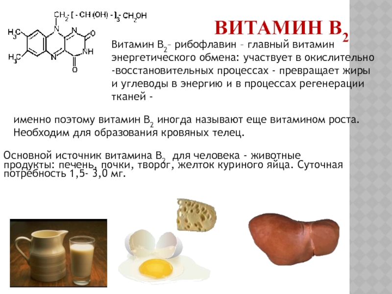 Витамин в2 проект