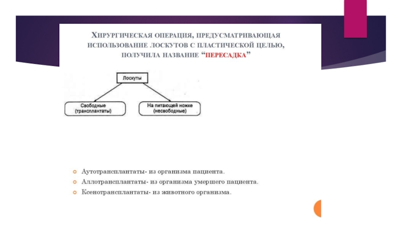 Пластическая хирургия презентация