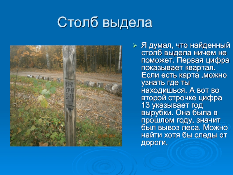 Столб выделаЯ думал, что найденный столб выдела ничем не поможет. Первая цифра показывает квартал. Если есть карта