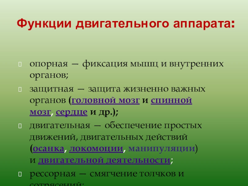 Микроклональное размножение растений презентация