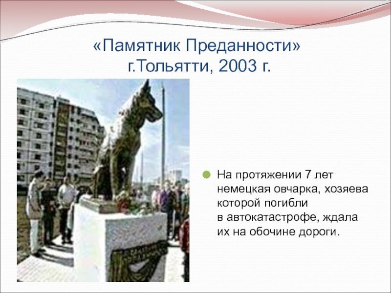 «Памятник Преданности»  г.Тольятти, 2003 г.На протяжении 7 лет немецкая овчарка, хозяева которой погибли  в автокатастрофе,