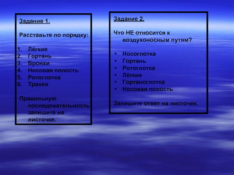 Порядки легкого. К воздухоносным путям не относят. Легкие относятся к воздухоносным путям. К воздухоносным путям человека не относятся. К воздухоносным не остроситсч.