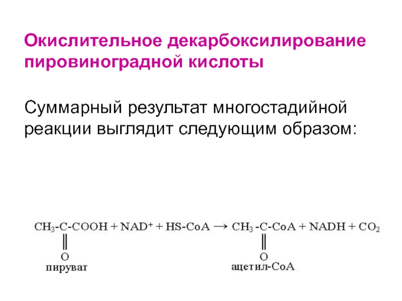 Обмен пировиноградной кислоты