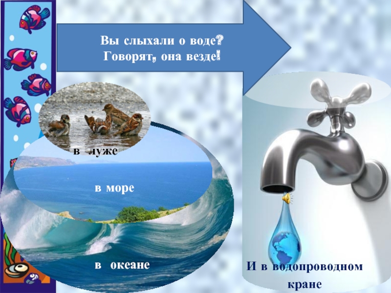 День воды презентация