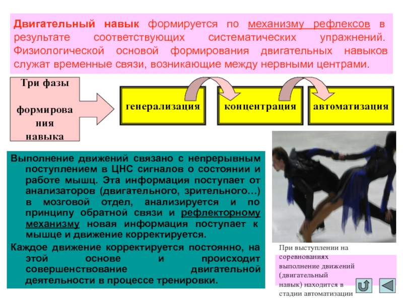 Двигательное умение. Формирование двигательного навыка. Фазы образования двигательного навыка. Физиологические основы формирования двигательных навыков. Двигательный навык формируется в.