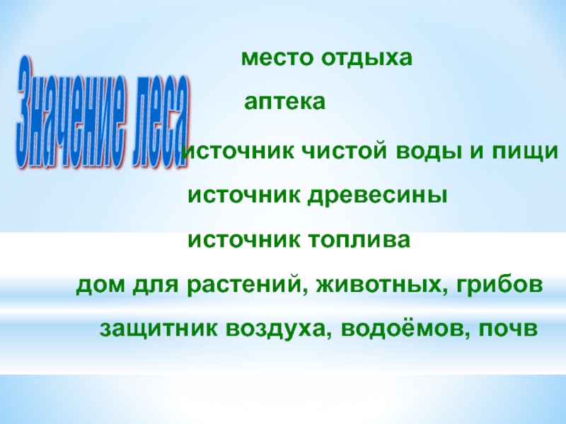 Почему лес называют защитником воздуха водоемов. Значение леса место отдыха аптека.